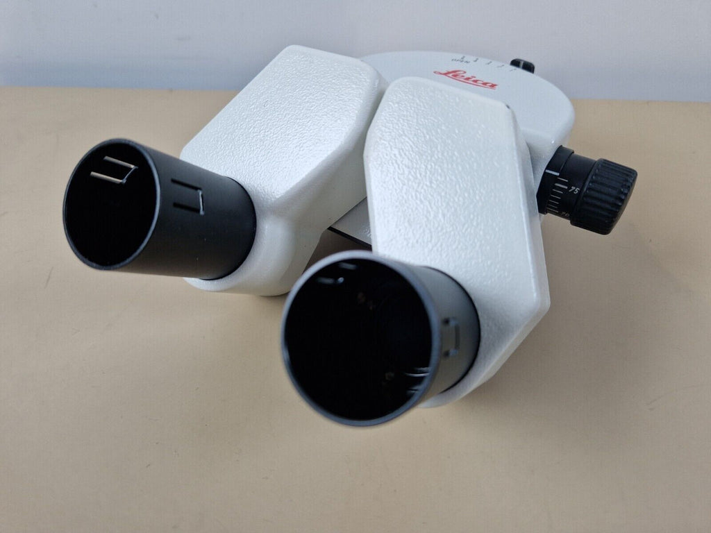 leica surgical microscope binocular head 104297847