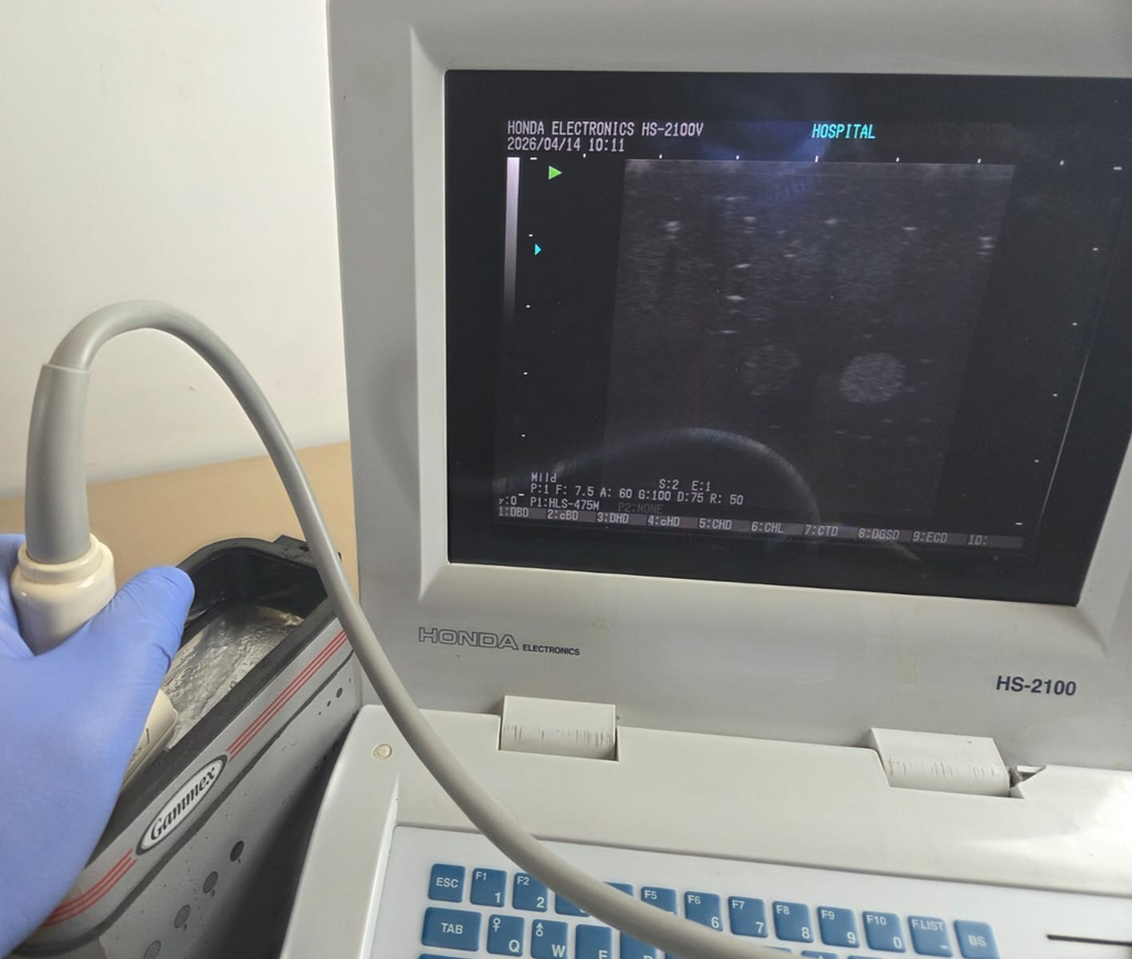 honda electronics HS 2100V with HLS 475M probe transducer 7.5hz6