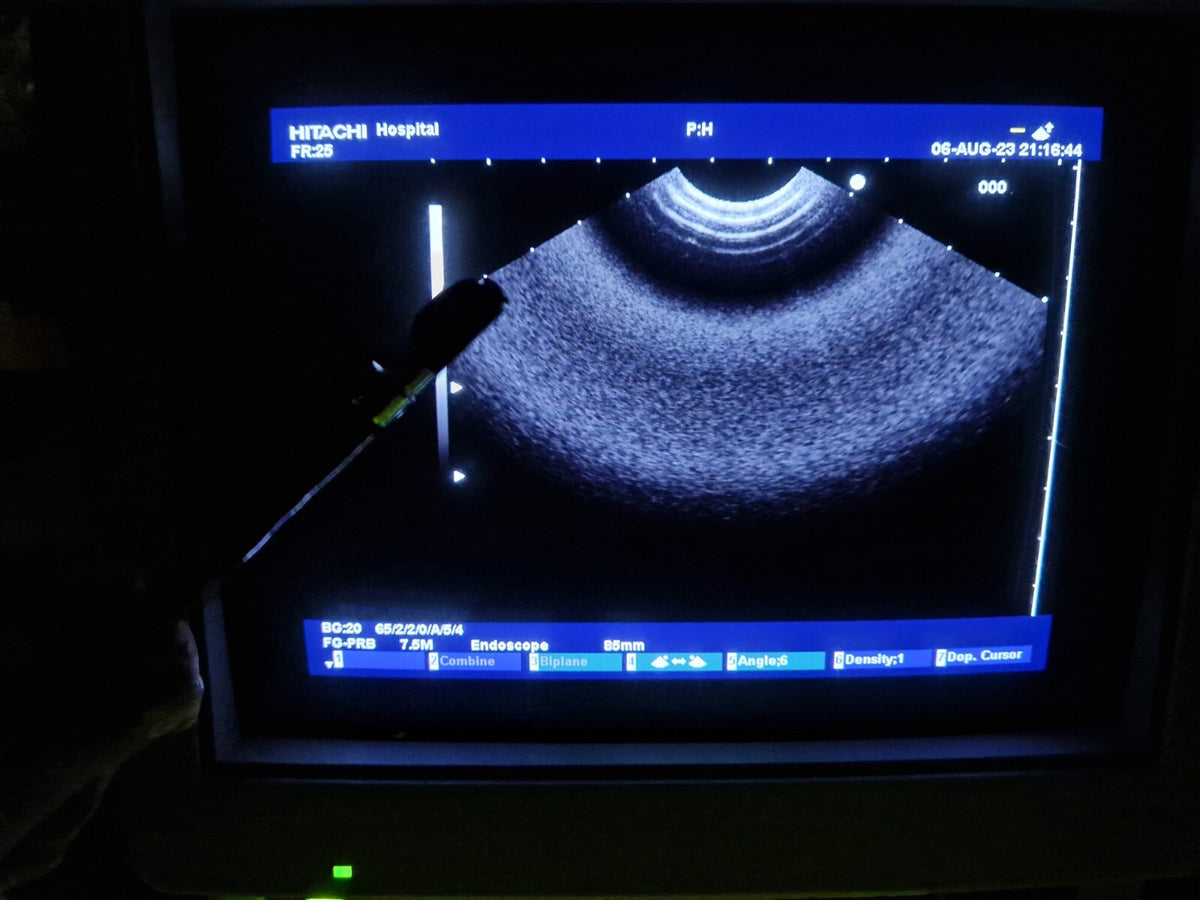 hitachi ultrasound TEE probe transducer 7.5 MHz EBUS pentax FG34UX gastroscope18