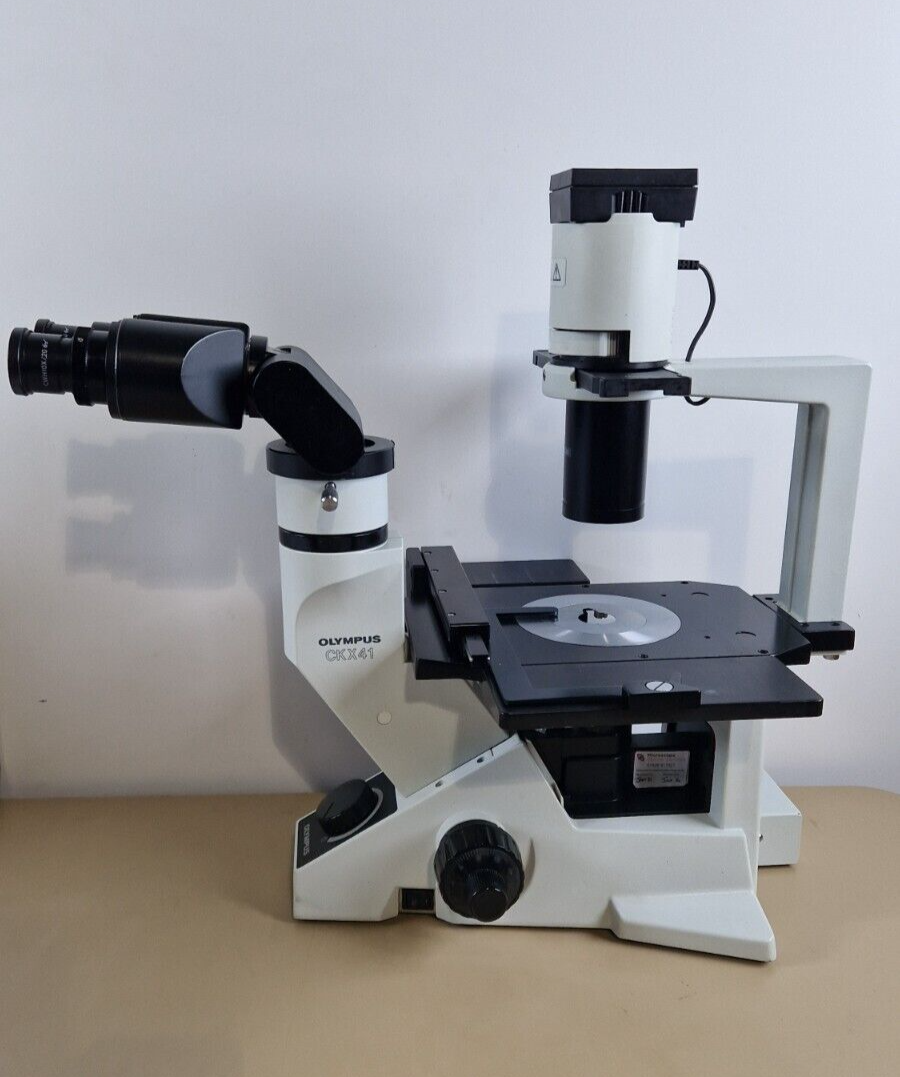 Olympus CKX41 inverted microscope — original advert photo 1