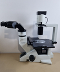 Olympus CKX41 inverted microscope — original advert photo 1