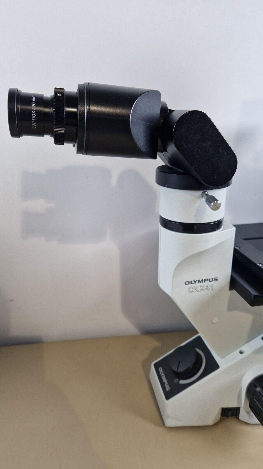 Olympus CKX41 inverted microscope — original advert photo 2