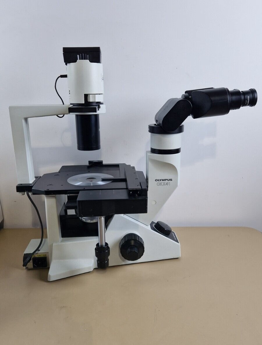 Olympus CKX41 inverted microscope — original advert photo 6