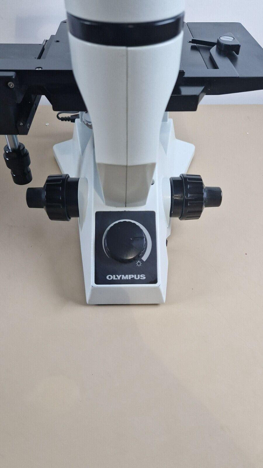 Olympus CKX41 inverted microscope — original advert photo 18
